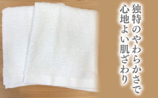 ナチュレル 泉州ハンドタオル10枚(ホワイト)【泉州タオル 国産 吸水 普段使い 無地 シンプル 日用品 家族 ファミリー】