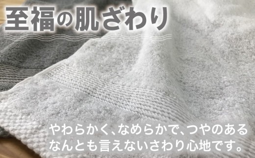 やわらかロングフェイスタオル4枚セットA【泉州タオル 国産 吸水 普段使い 無地 シンプル 日用品 家族 ファミリー】