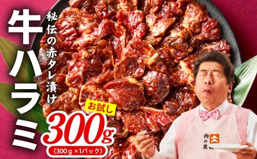 牛ハラミ 300g
