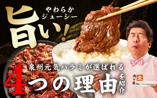 【お試し】牛ハラミ 300g【お試し 秘伝の赤タレ漬け 牛肉 焼肉用 焼くだけ はらみ 小分け BBQ やきにく 肉厚 高評価 訳あり サイズ不揃い】 010B1883-1
