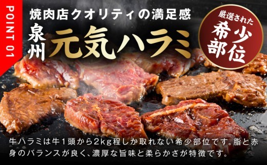 【お試し】牛ハラミ 300g【お試し 秘伝の赤タレ漬け 牛肉 焼肉用 焼くだけ はらみ 小分け BBQ やきにく 肉厚 高評価 訳あり サイズ不揃い】 010B1883-1