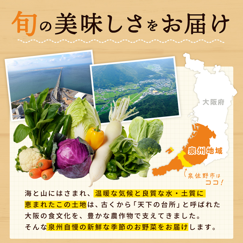 【スピード発送】季節の泉州野菜 12種 おまかせセット ピクルスの素 いずみピクルス NSW 010B1549