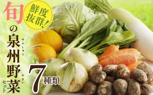 旬の野菜セット 詰め合わせ 7種類 おまかせ