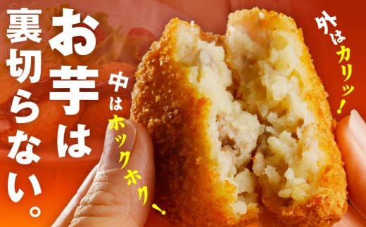 こだわりの国産素材手作りコロッケ 合計20個【黒コロッケ 無添加 国産 惣菜 おやつ おつまみ お弁当 三代目コロッケ】