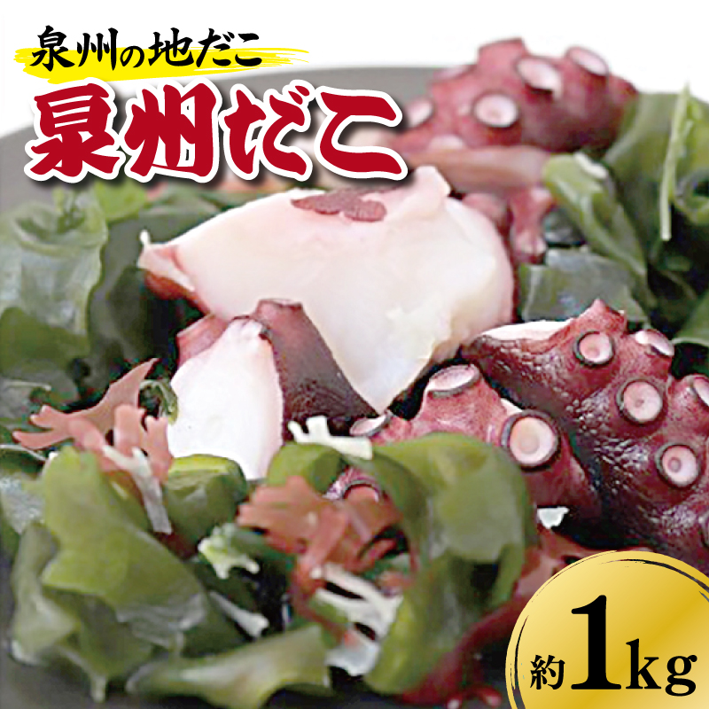 泉州タコ1kg G4156-1