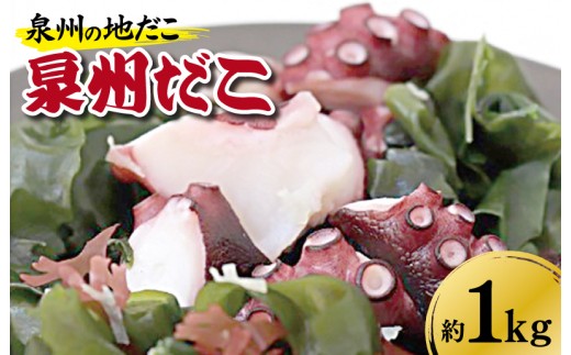 泉州タコ1kg