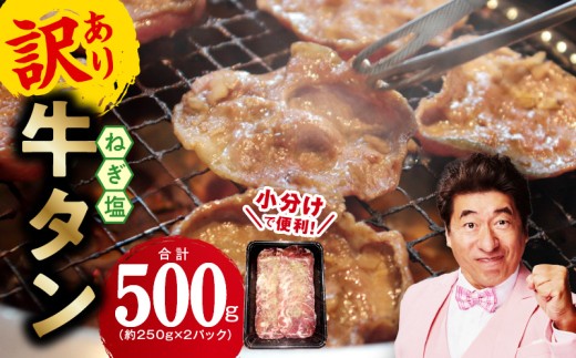 ねぎ塩 牛たん お試し 500g【小分け 250g×2 成型 牛タン 牛肉 焼肉用 薄切り 訳あり サイズ不揃い】 099H4737