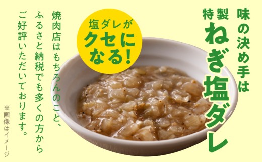 ねぎ塩 牛たん お試し 500g【小分け 250g×2 成型 牛タン 牛肉 焼肉用 薄切り 訳あり サイズ不揃い】 099H4737