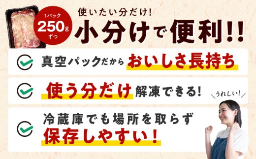 ねぎ塩 牛たん お試し 500g【小分け 250g×2 成型 牛タン 牛肉 焼肉用 薄切り 訳あり サイズ不揃い】 099H4737