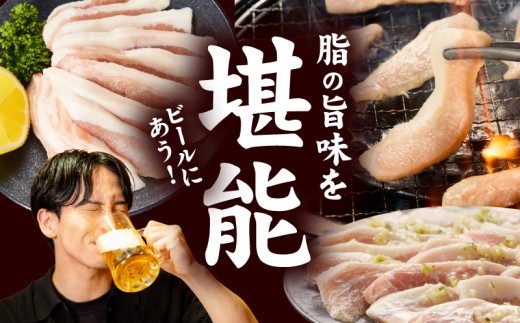豚トロ 焼肉用 1.2kg 秘伝の塩だれ漬け【小分け 300g×4P 焼肉用 塩だれ 焼くだけ 小分け BBQ やきにく 数量限定】