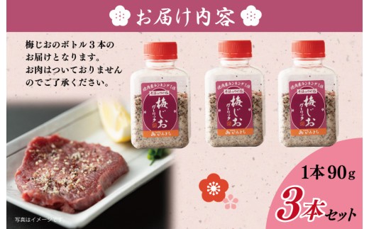 【スピード発送】焼き肉専門店の梅じおガーリック 90g×3本セット 005A553