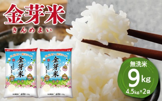 金芽米 9kg(無洗米) 【4.5kg×2袋 ご飯 ごはん お米 精米 金芽米計量カップ付】
