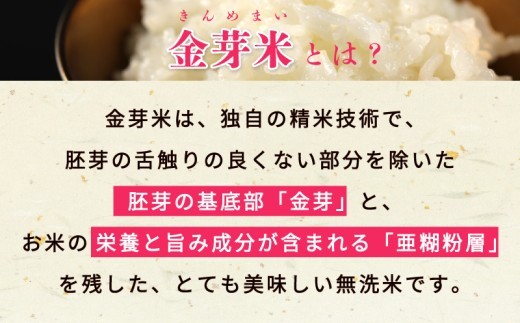 金芽米 9kg(無洗米) 【4.5kg×2袋 ご飯 ごはん お米 精米 金芽米計量カップ付】