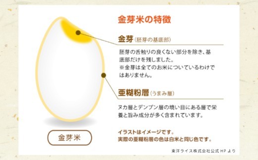 金芽米 9kg(無洗米) 【4.5kg×2袋 ご飯 ごはん お米 精米 金芽米計量カップ付】
