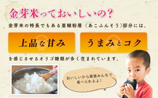 金芽米 9kg(無洗米) 【4.5kg×2袋 ご飯 ごはん お米 精米 金芽米計量カップ付】