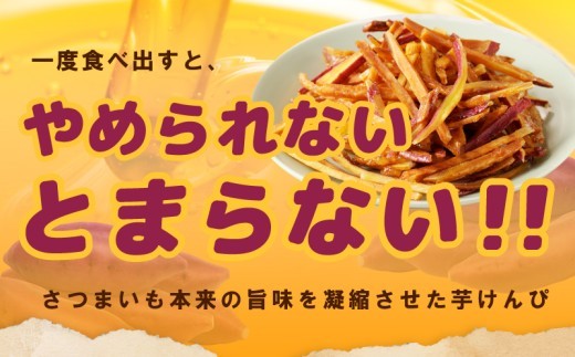 カリカリ!サクサク!芋匠さのや自慢の芋けんぴ 280g(140g×2袋)