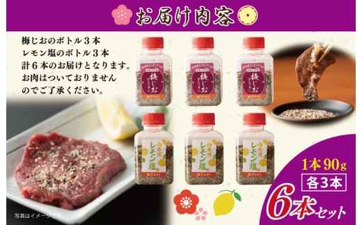 【スピード発送】焼き肉専門店の梅じお＆レモン塩 各90g×3本 合計6本 食べ比べセット