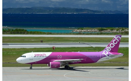 PeachでGo！！（泉佐野市内宿泊編）旅行クーポン（90,000円分） 099H387