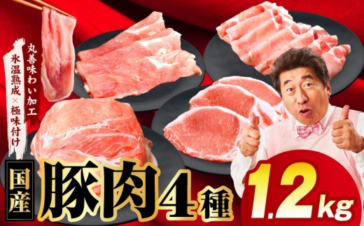 【スピード発送】国産 豚肉 4種 総量 1.2kg【300g×4P 氷温熟成×極味付け 小分け ぶたにく 普段使い 野菜炒め】