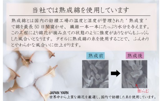 【スピード発送】泉州タオル「普段使いにぴったりのミニバスタオル」５枚セット（ミントグリーン）【泉州タオル 国産 吸水 普段使い 無地 シンプル 日用品 家族 ファミリー】