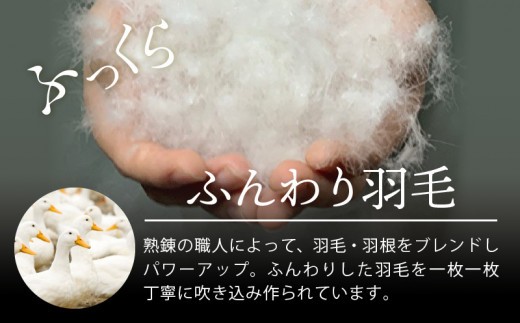 羽毛布団 2枚 シングル 150cm×210cm 訳あり 柄おまかせ【国産 羽毛 ふとん 寝具 掛け布団 羽毛ふとん】
