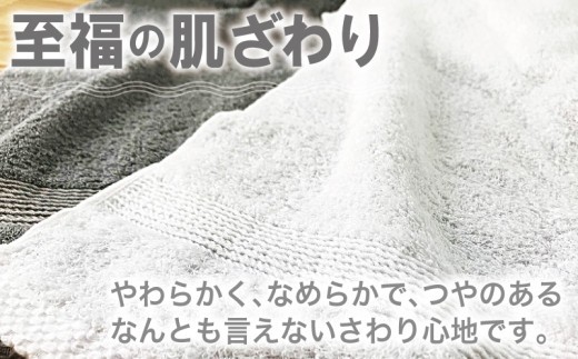 やわらかバス２枚フェイスタオル４枚セット【泉州タオル 国産 吸水 普段使い 無地 シンプル 日用品 家族 ファミリー】