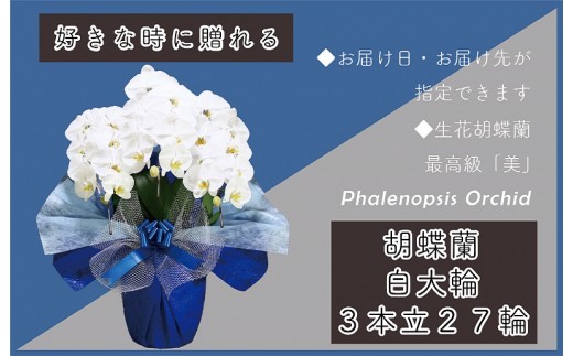 3本立て