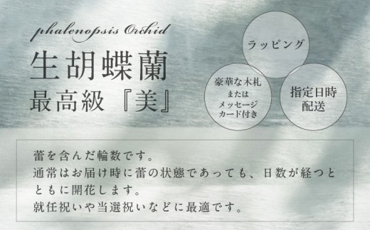 5本立て 胡蝶蘭 40輪～50輪 白色【木製大型木札 または メッセージカード 付き ラッピング お祝い ギフト 贈答 贈り物 プレゼント 生花 花 農福連携】