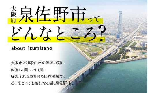 5本立て 胡蝶蘭 40輪～50輪 白色【木製大型木札 または メッセージカード 付き ラッピング お祝い ギフト 贈答 贈り物 プレゼント 生花 花 農福連携】