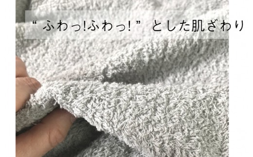 ナチュレル ホワイトセット（フェイス・ハンド各1枚） お試し泉州タオル【泉州タオル 国産 吸水 普段使い 無地 シンプル 日用品 家族 ファミリー】