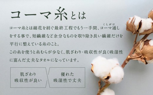 コーマカラーフェイスタオル12枚セット(スレイトグレー)泉州タオル【泉州タオル 国産 吸水 普段使い 無地 シンプル 日用品 家族 ファミリー】