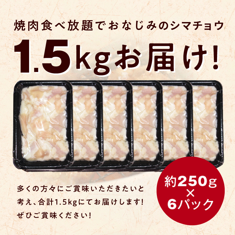 【焼肉屋の定番】シマチョウ 塩だれ漬け 1.5kg 小分け 250g×6 牛肉 ホルモン 焼肉用 010B1978