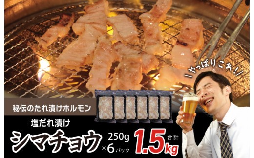 【焼肉屋の定番】シマチョウ 塩だれ漬け 1.5kg【小分け 250g×6 牛肉 ホルモン 焼肉用】