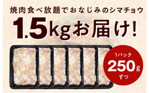 【焼肉屋の定番】シマチョウ 塩だれ漬け 1.5kg【小分け 250g×6 牛肉 ホルモン 焼肉用】