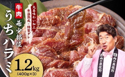 【希少部位】牛肉 うちハラミ 1.2kg 小分け 400g×3P【スピード発送 氷温熟成×特製ダレ 味付き 牛肉 訳あり 不揃い 焼肉 BBQ 野菜炒め】