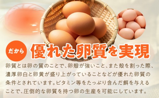 戸野さん家のこだわりタマゴ 定期便 30個×全6回 Mサイズ 合計 180個【毎月配送コース 卵 たまご 国産 濃厚 とことん餌にこだわった とのたま】