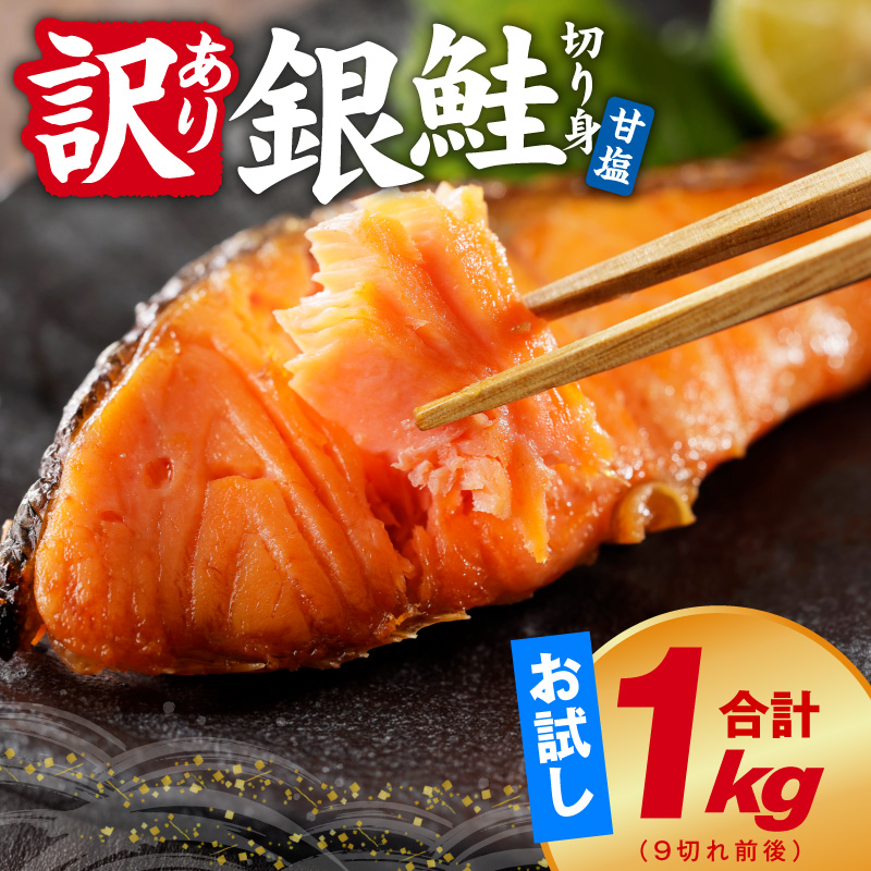 【訳あり】銀鮭 切り身 1kg(約9切れ)【規格外 甘塩 バラ凍結 海鮮 魚介 鮭 さけ しゃけ お弁当 朝食 おかず 簡単調理】 G4232-1