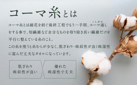 コーマカラーフェイスタオル2枚（パステルイエロー) 【泉州タオル 国産 吸水 薄手 普段使い 無地 シンプル 日用品】