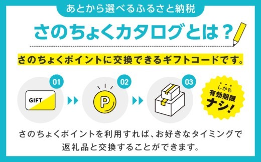 【有効期限なし】あとから選べる さのちょくカタログ（寄附50,000円コース）【泉佐野市 ふるさとギフト 4000品以上 高評価 肉 ビール 海鮮 野菜 定期便 タオル ティッシュ 後から カタログギ
