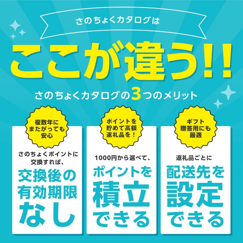 【有効期限なし】あとから選べる さのちょくカタログ【泉佐野市 ふるさとギフト 4000品以上 高評価 肉 ビール 海鮮 野菜 タオル ティッシュ 後から カタログギフト】
