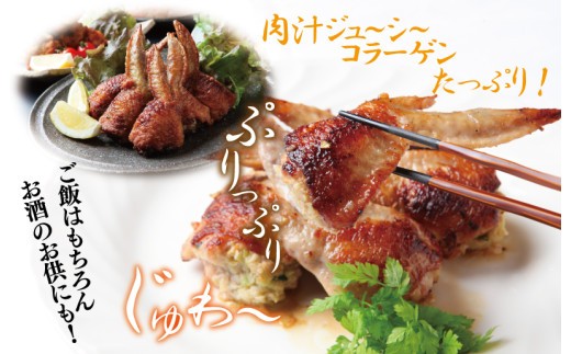 手羽先餃子14本 日本料理屋のお惣菜 さのうまみ鶏 010B1492