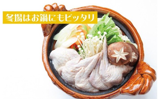 手羽先餃子14本 日本料理屋のお惣菜 さのうまみ鶏 010B1492