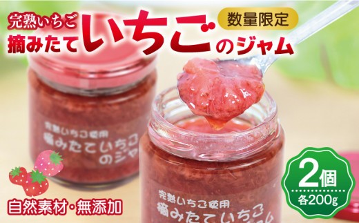 完熟朝摘みいちごのジャム 自然素材 無添加