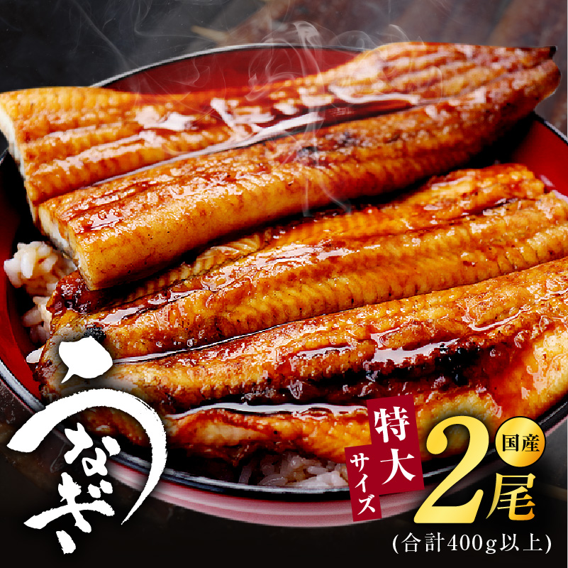 【特大2尾】国産うなぎ 400g以上【特製タレ 蒲焼 鰻 ウナギ 炭火焼き 備長炭 手焼き レンジ 温めるだけ 簡単調理】 G4152-1