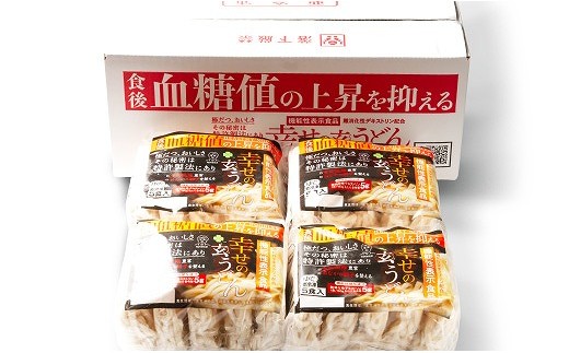 機能性 玄うどん 099H016