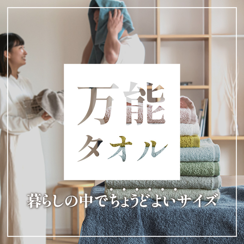 ファミーユ ミニバスタオル 6枚（ホワイト／グレー）【フェイスタオル 以上 バスタオル 未満 泉州タオル 吸水 普段使い シンプル 日用品 たおる】 G3979