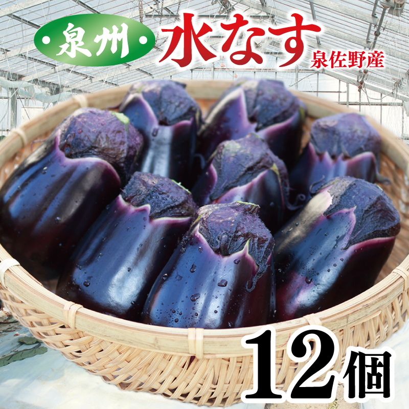 【先行予約】泉州 水なす 12個【ハウス栽培 新鮮 野菜 泉佐野産 茄子 数量限定】 010B1061