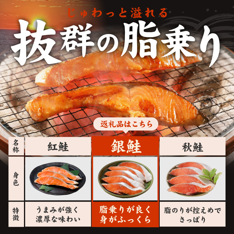 【訳あり】銀鮭 切り身 2kg(約18切れ)【規格外 甘塩 バラ凍結 海鮮 魚介 鮭 さけ しゃけ お弁当 朝食 おかず 簡単調理】 G4139-2