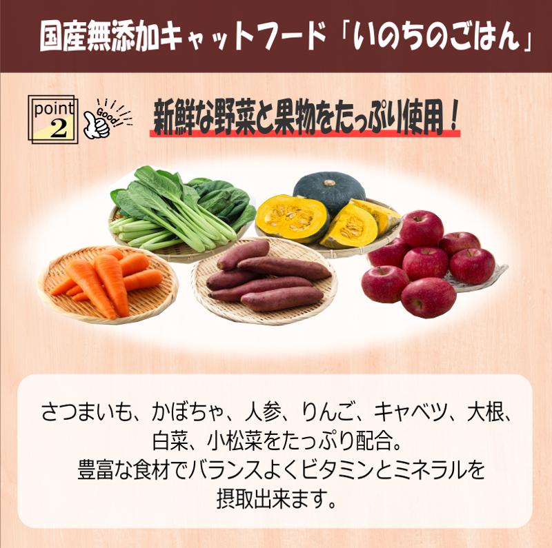 国産無添加 キャットフード 1kg「いのちのごはん」タンパク質 50％配合タイプ【猫 ねこ ペットフード チキン 手作り ヒューマングレード 国産】 020C434
