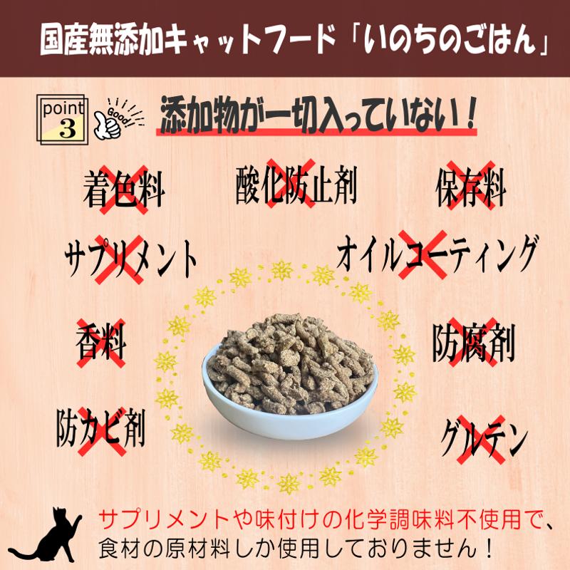 国産無添加 キャットフード 1kg「いのちのごはん」タンパク質 50％配合タイプ【猫 ねこ ペットフード チキン 手作り ヒューマングレード 国産】 020C434